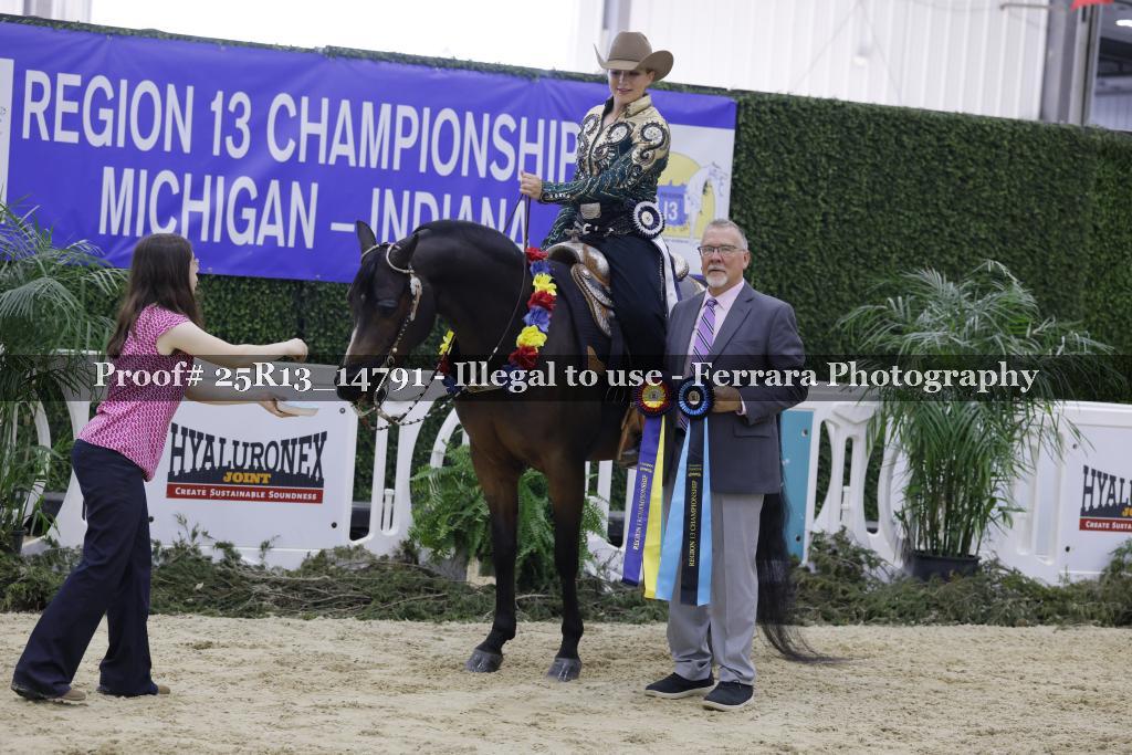Proof 25R13_14791