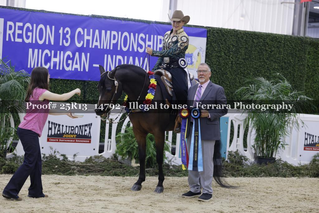 Proof 25R13_14792