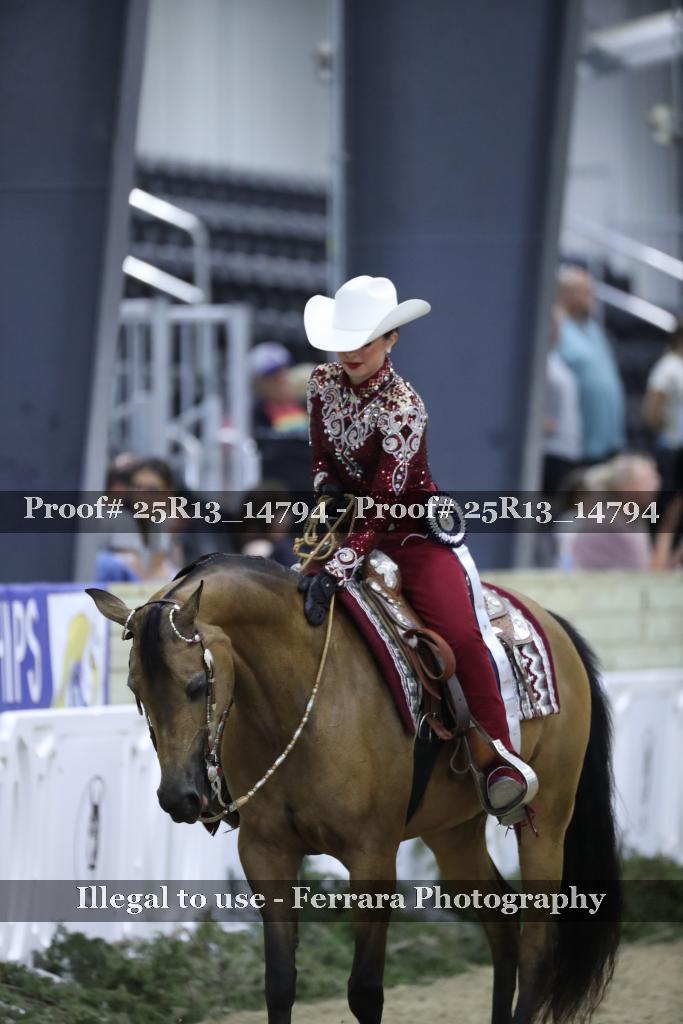 Proof 25R13_14794