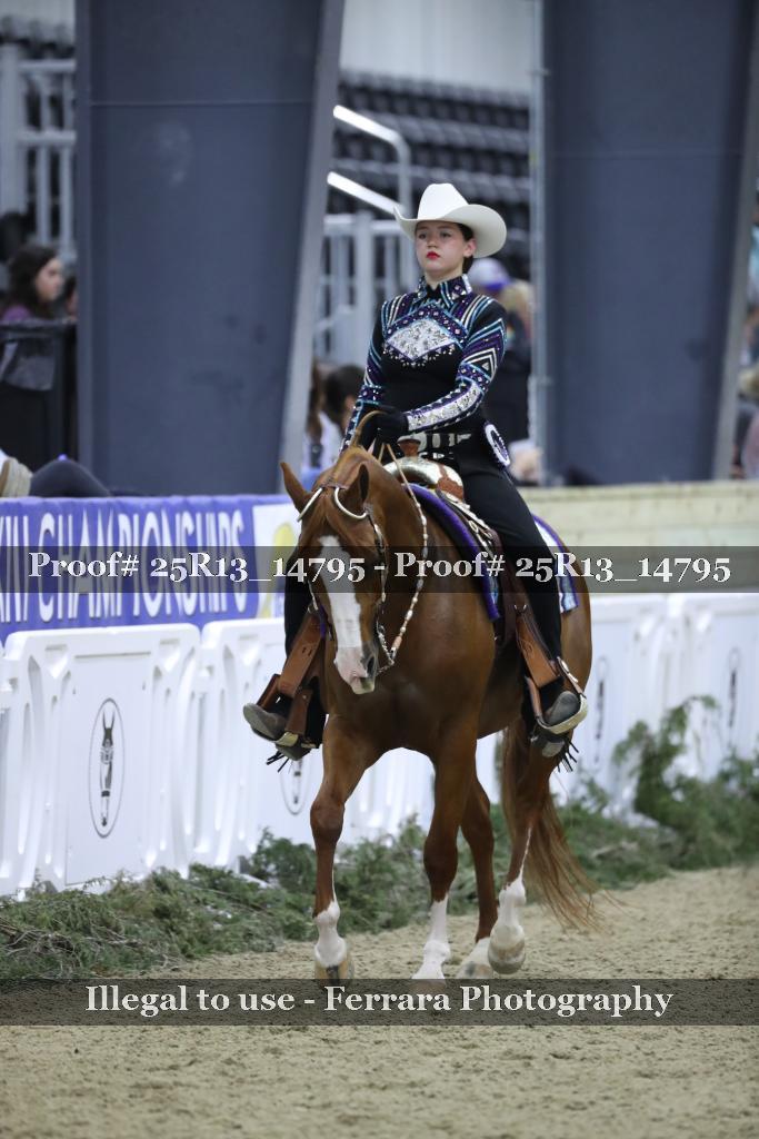 Proof 25R13_14795