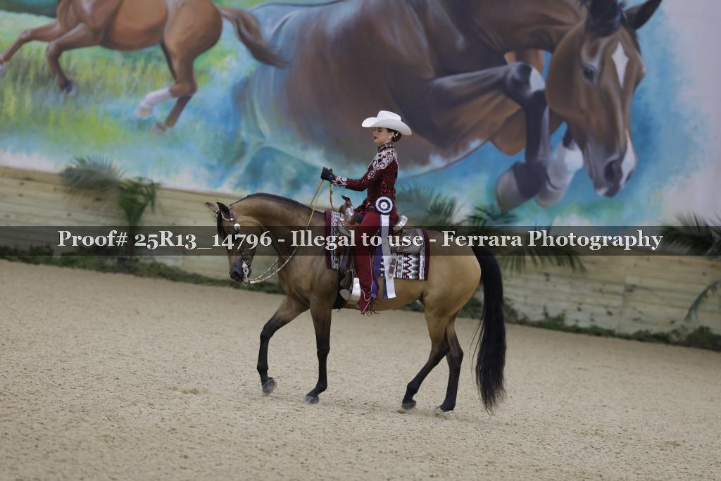 Proof 25R13_14796