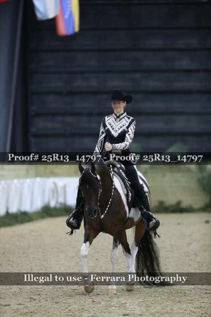 Proof 25R13_14797
