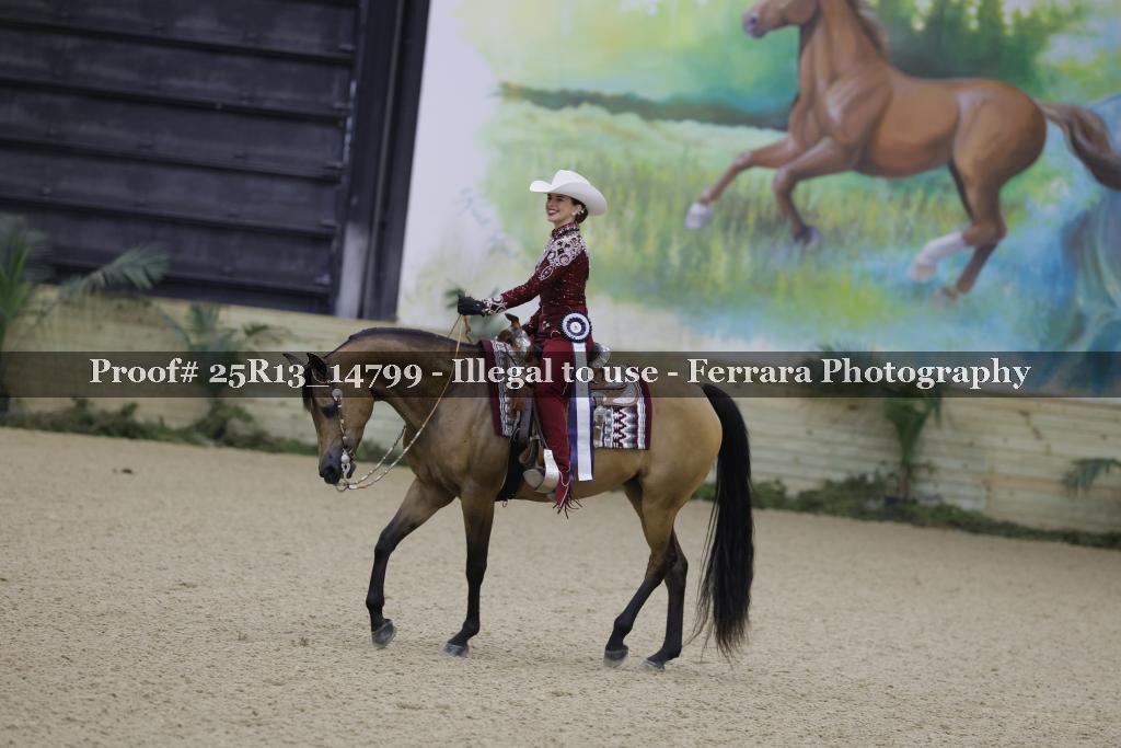 Proof 25R13_14799