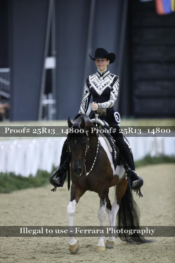 Proof 25R13_14800