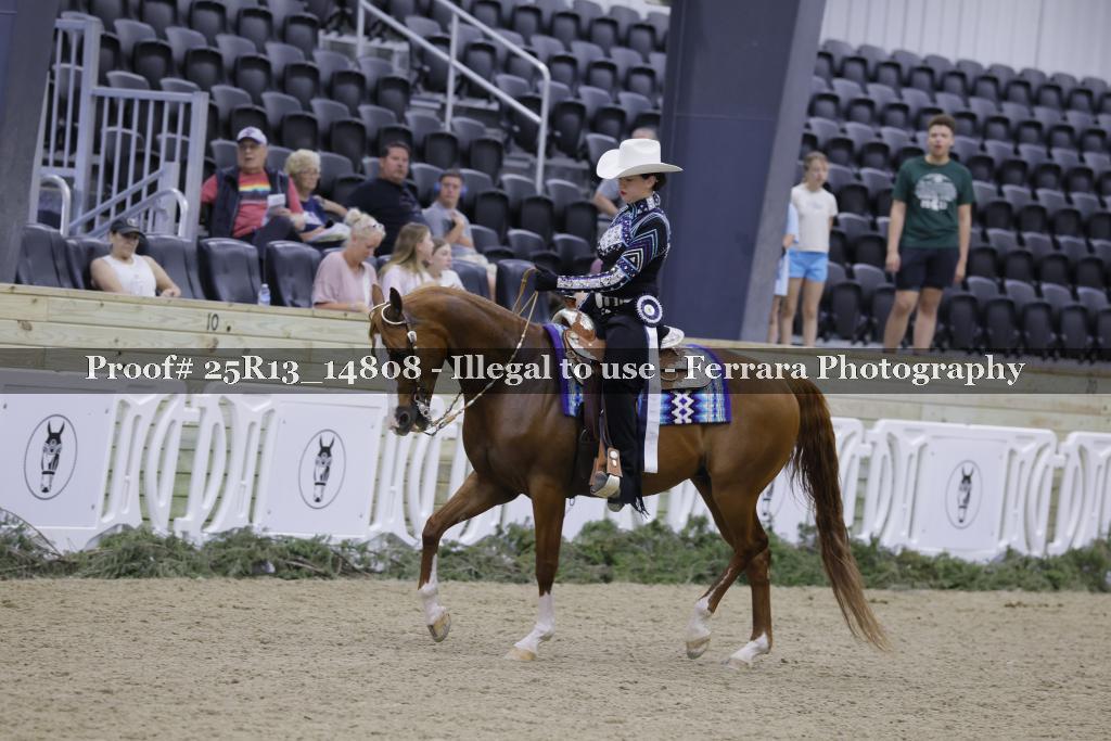 Proof 25R13_14808