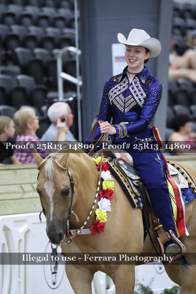 Proof 25R13_14809