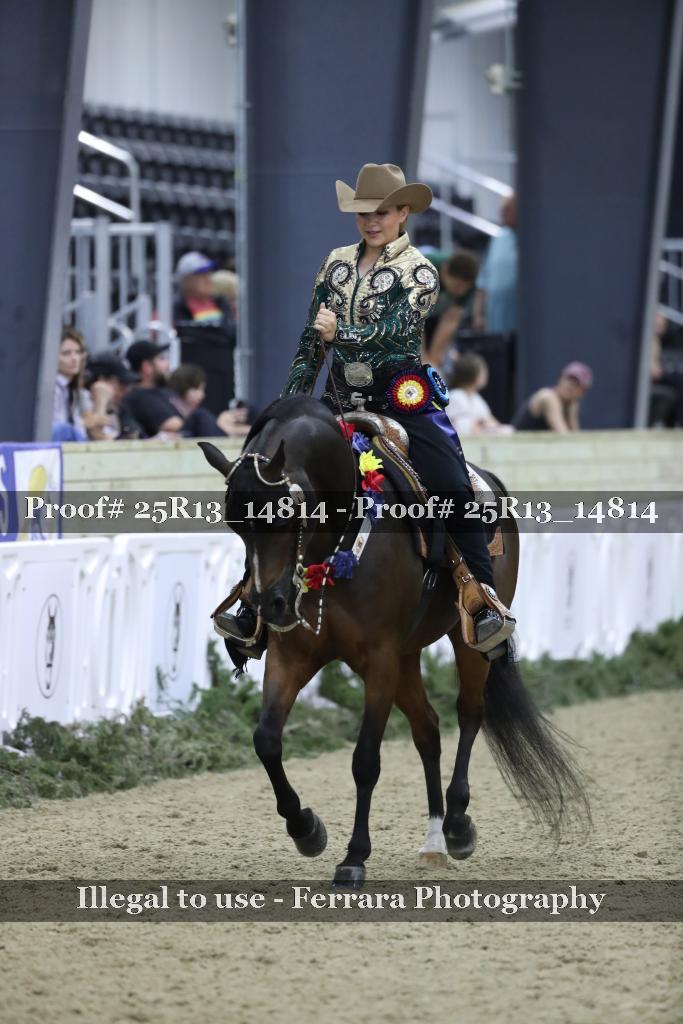 Proof 25R13_14814