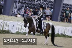 25R13_14815 proof