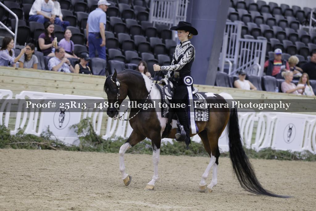 Proof 25R13_14816