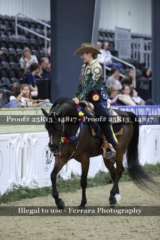 Proof 25R13_14817