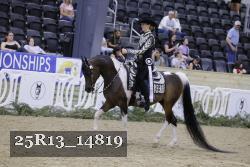 25R13_14819 proof
