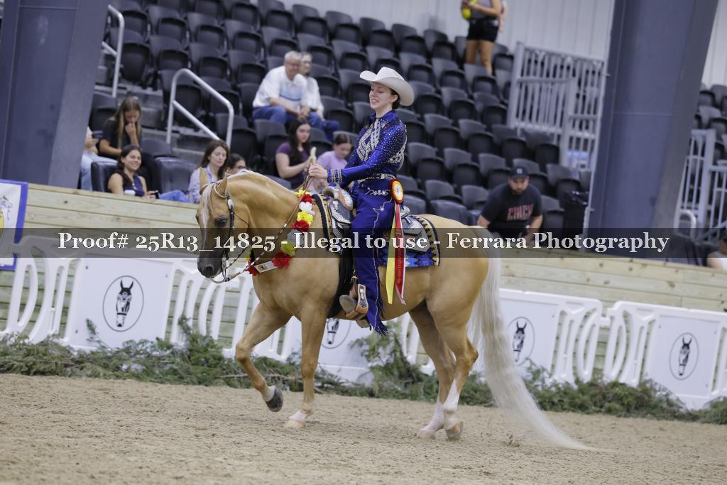 Proof 25R13_14825