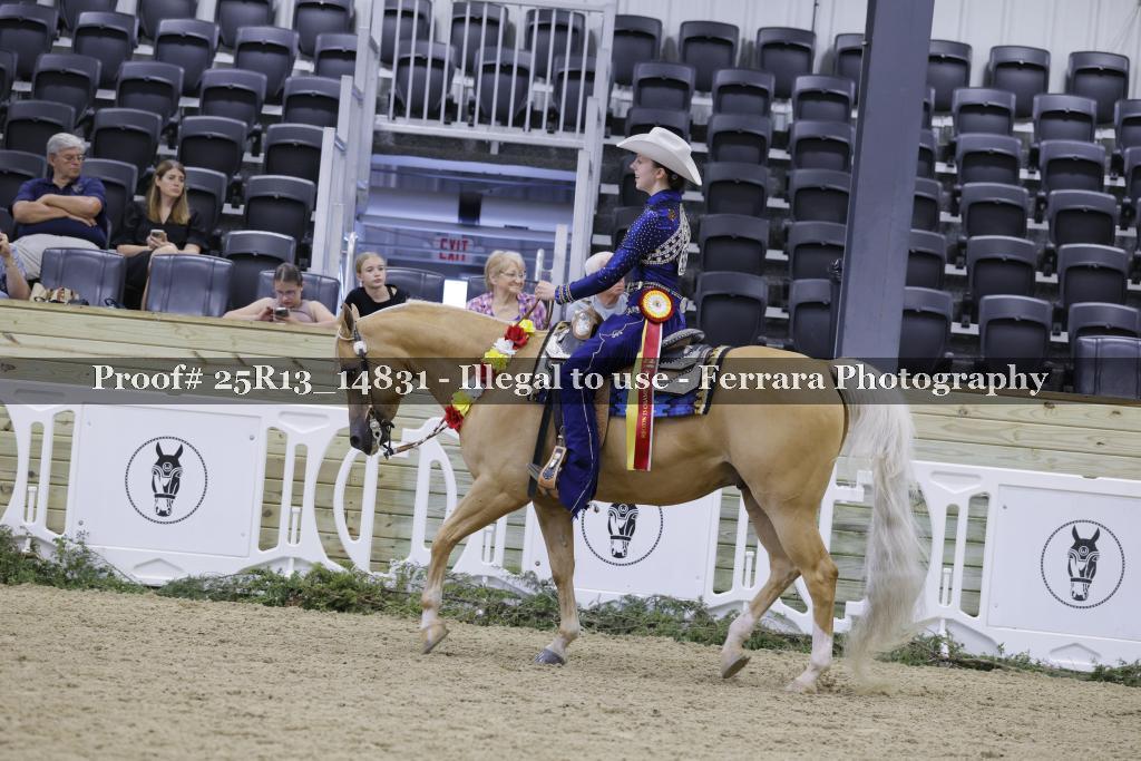 Proof 25R13_14831