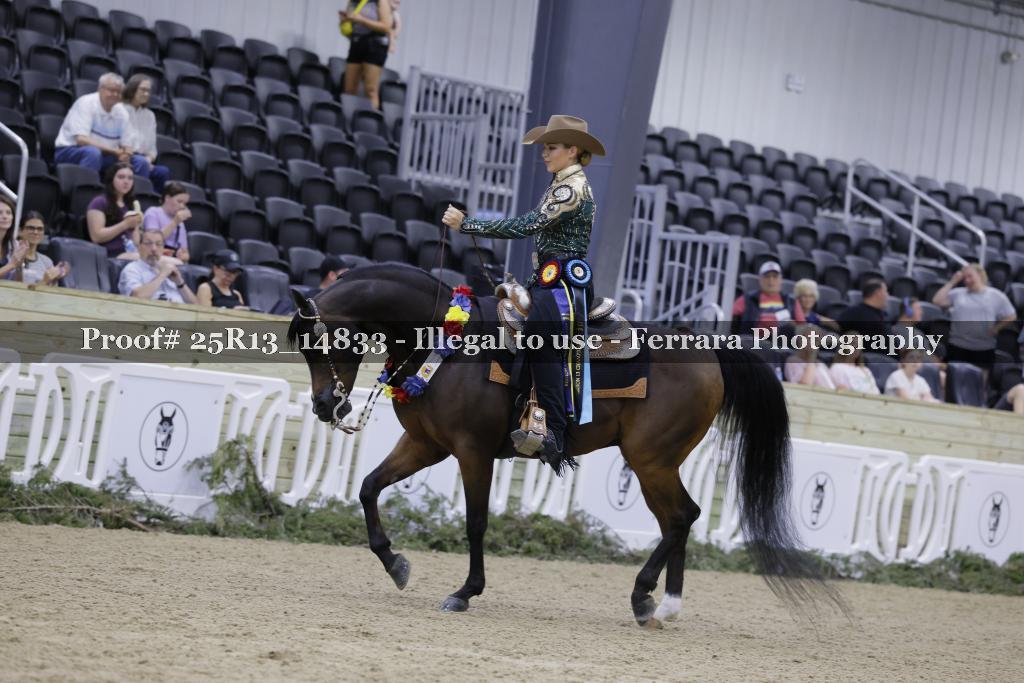 Proof 25R13_14833