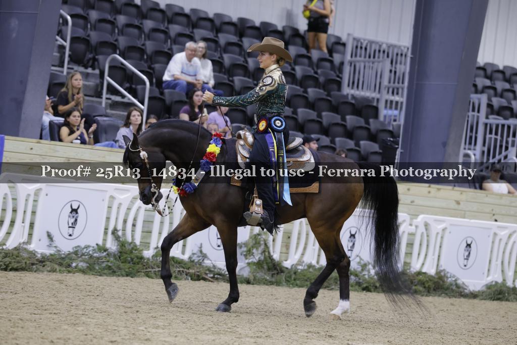 Proof 25R13_14834