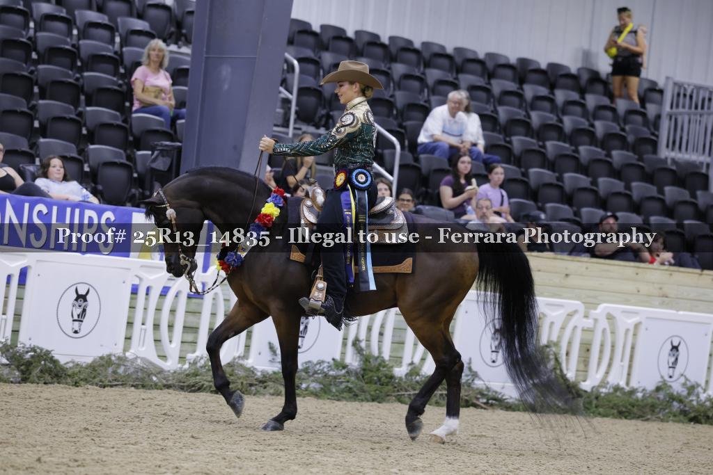 Proof 25R13_14835