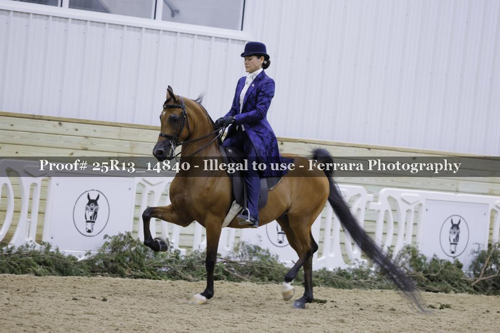 Proof 25R13_14840