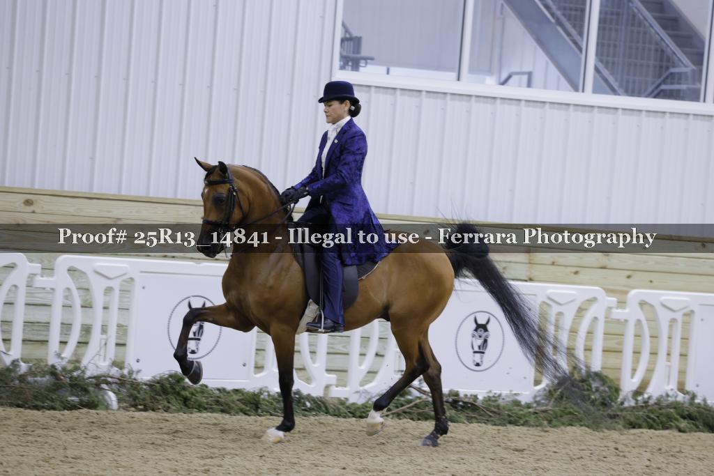 Proof 25R13_14841