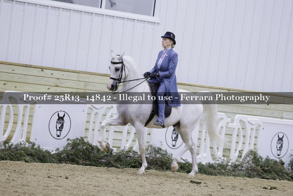 Proof 25R13_14842