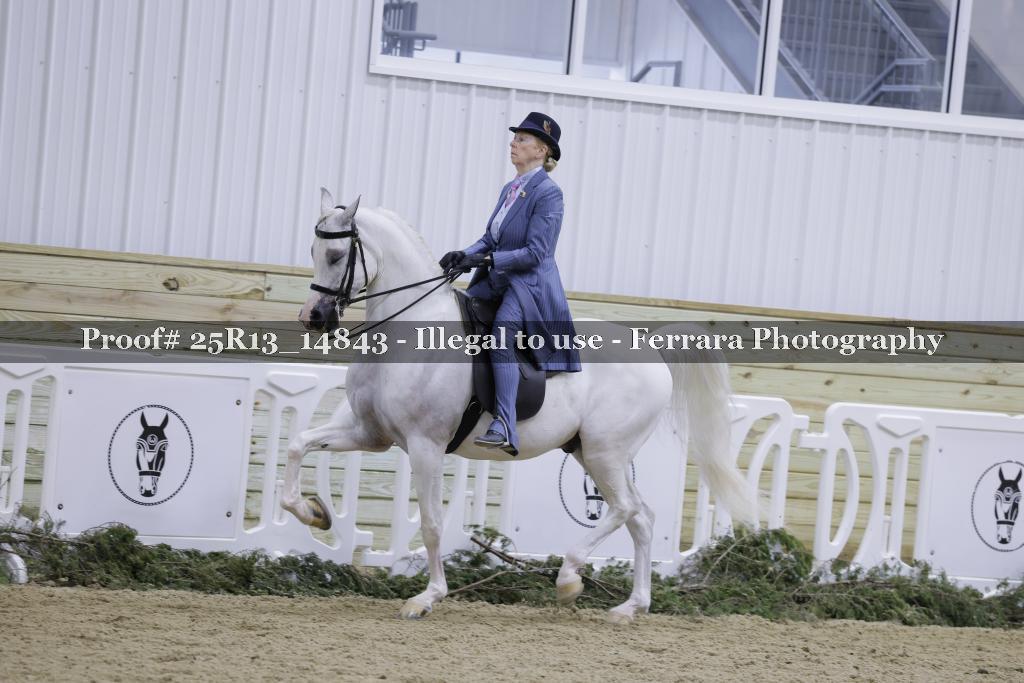 Proof 25R13_14843