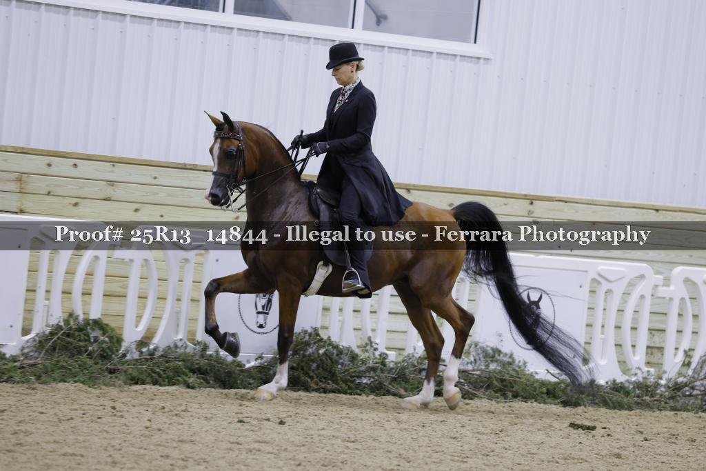 Proof 25R13_14844