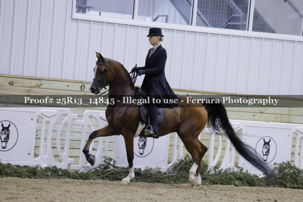 Proof 25R13_14845
