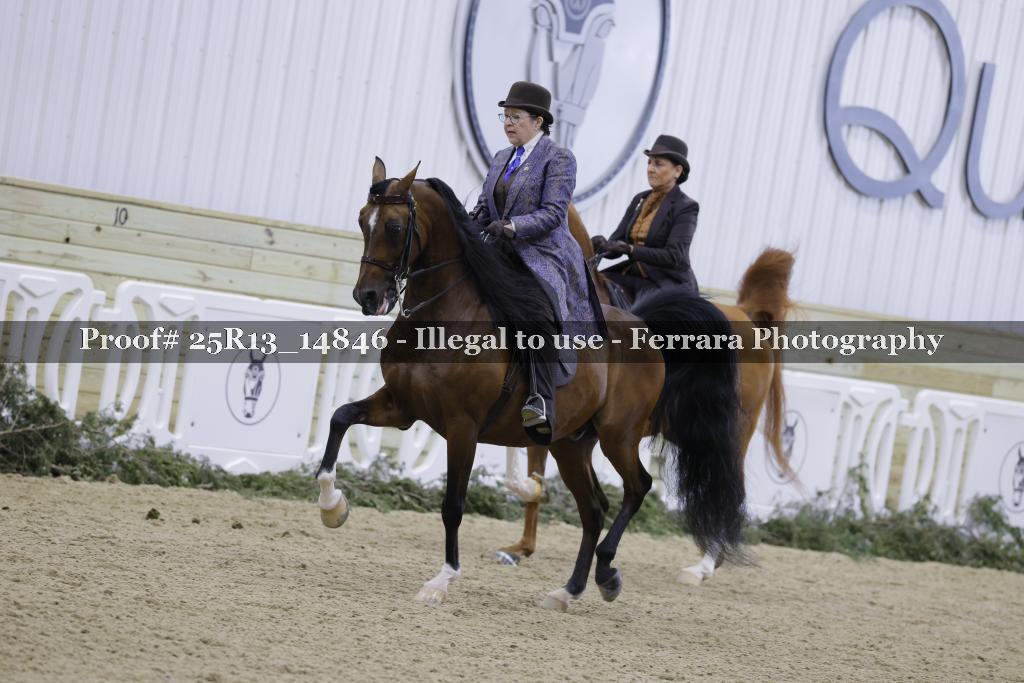 Proof 25R13_14846