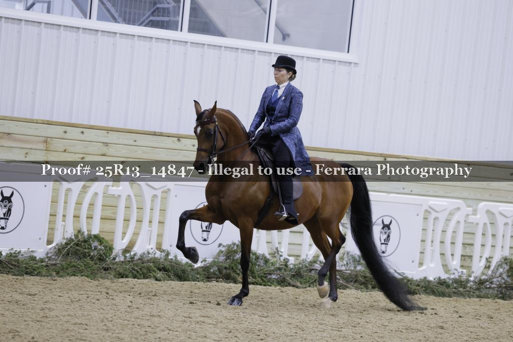 Proof 25R13_14847