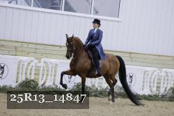 25R13_14847 proof