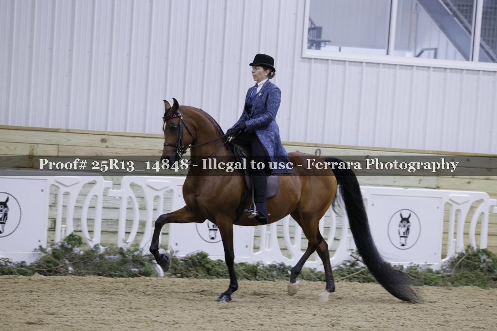 Proof 25R13_14848