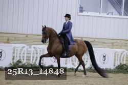 25R13_14848 proof
