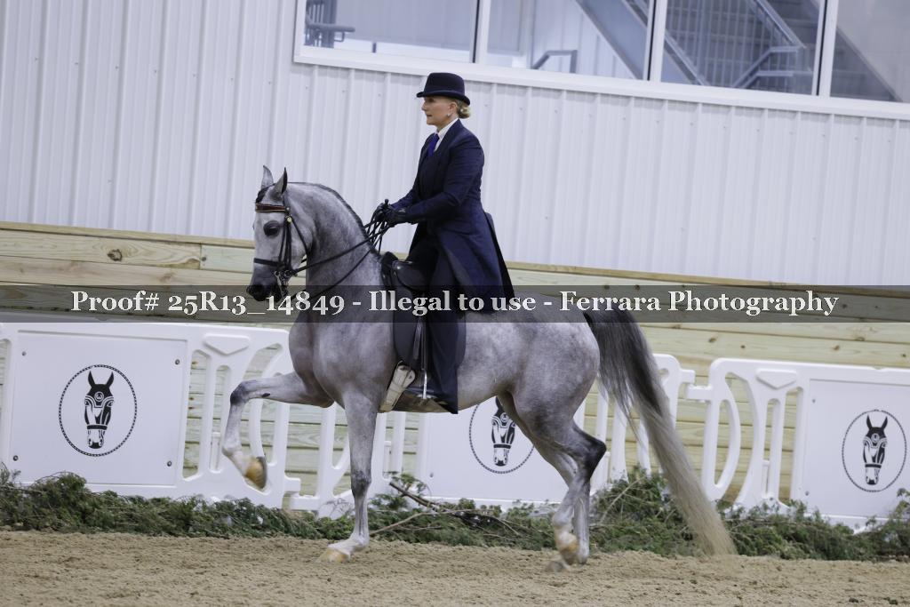 Proof 25R13_14849