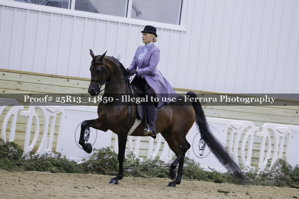 Proof 25R13_14850