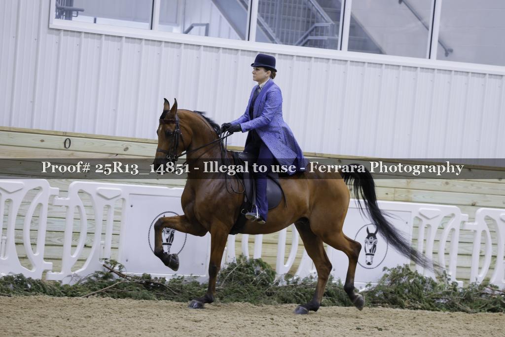 Proof 25R13_14851