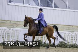 25R13_14851 proof