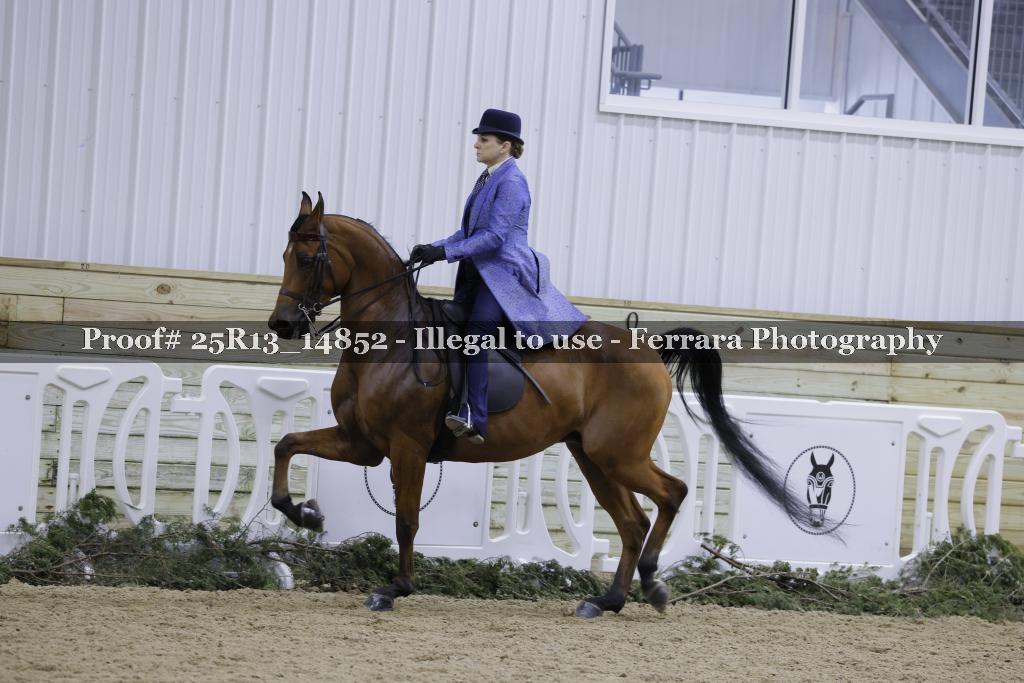 Proof 25R13_14852
