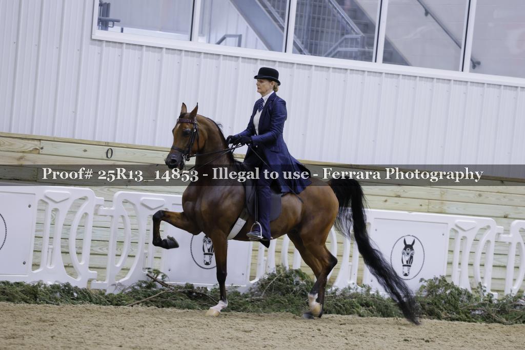 Proof 25R13_14853