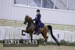 25R13_14853 proof