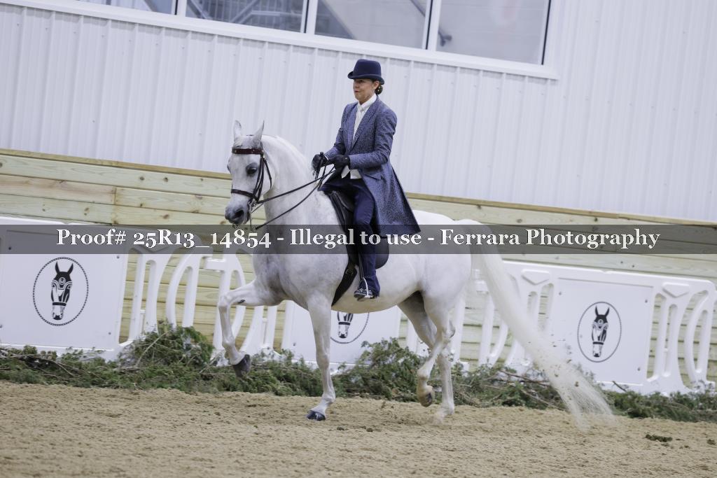 Proof 25R13_14854