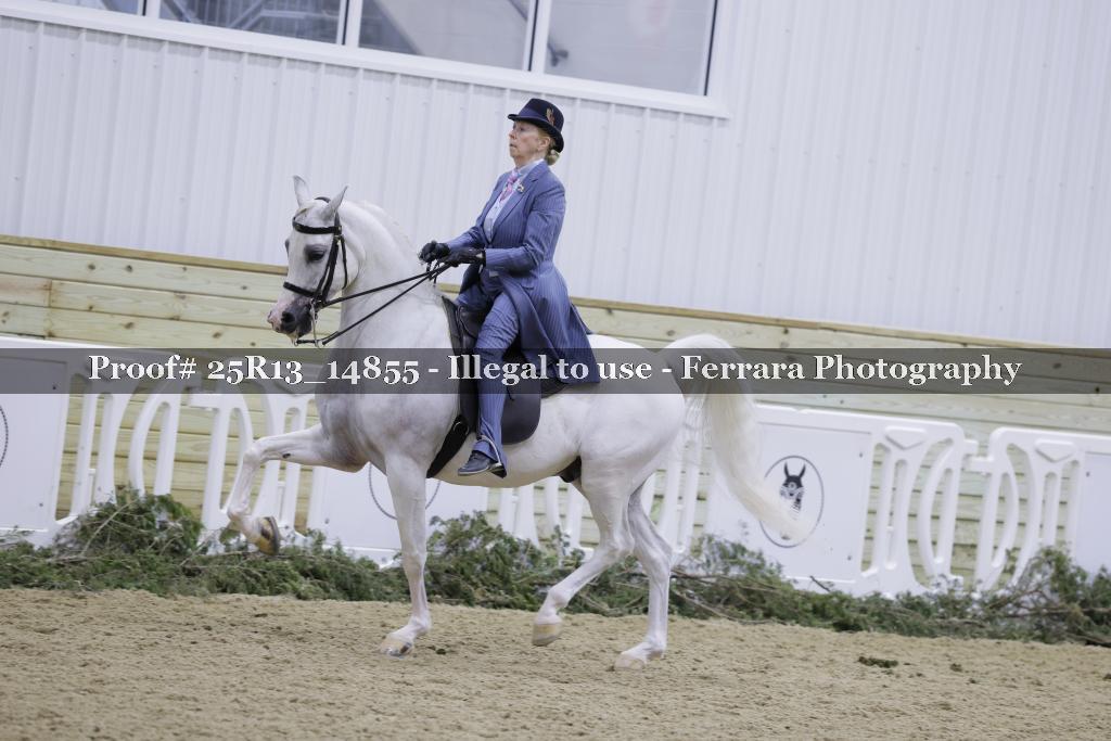 Proof 25R13_14855