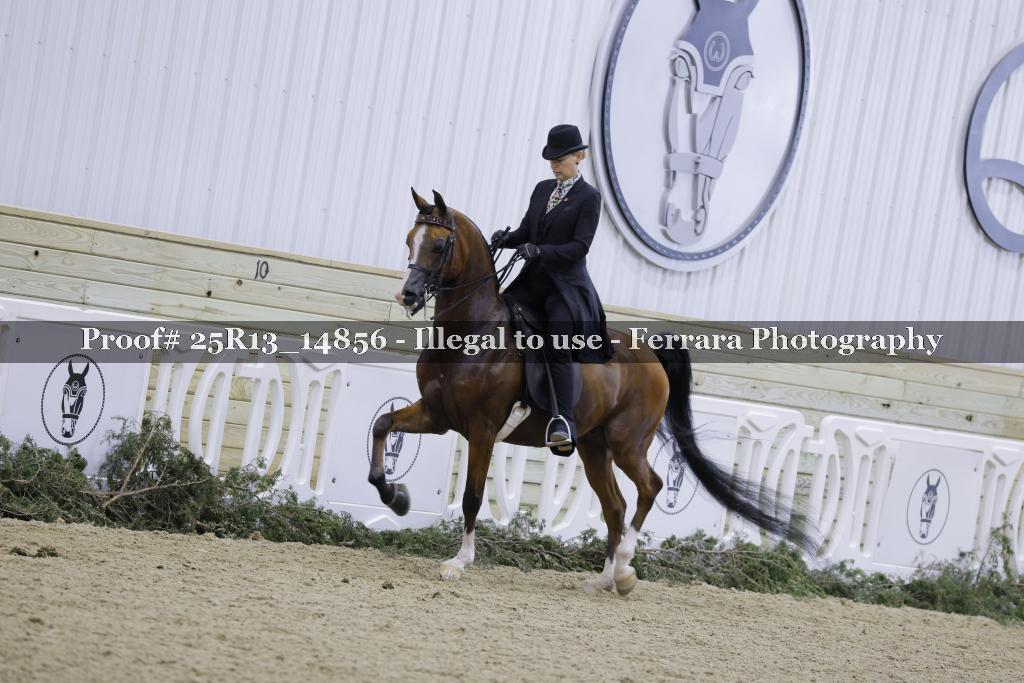 Proof 25R13_14856