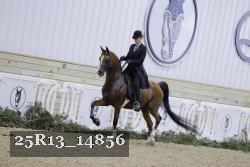 25R13_14856 proof