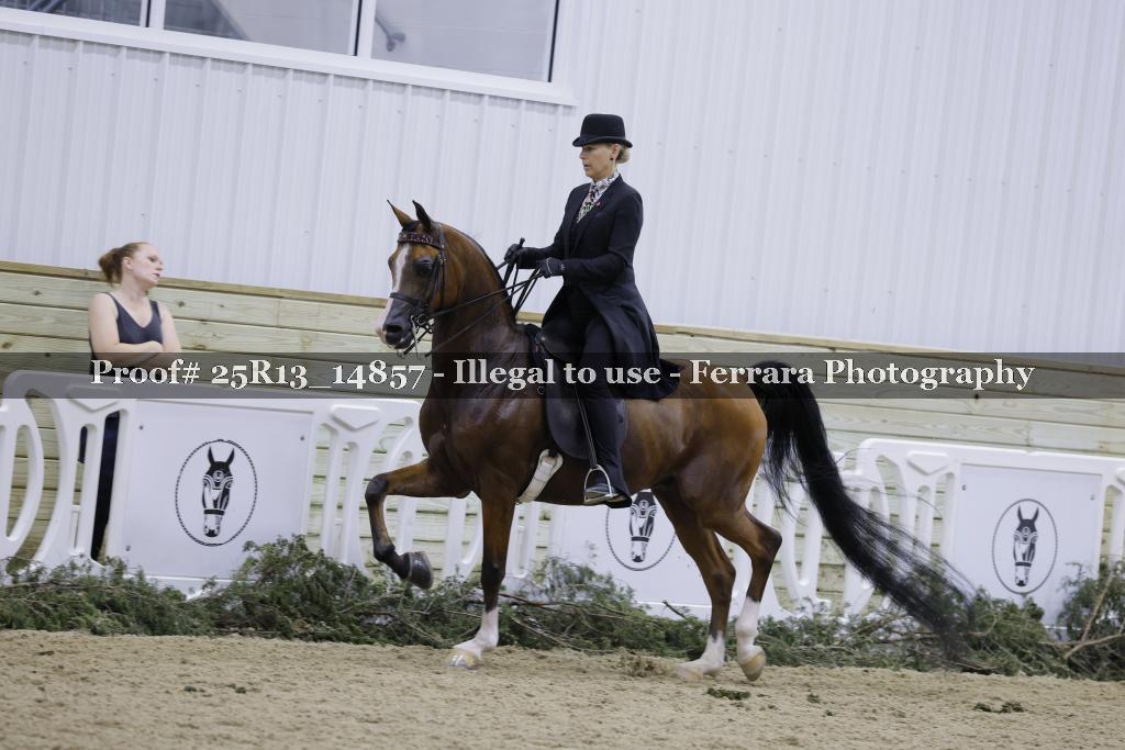 Proof 25R13_14857