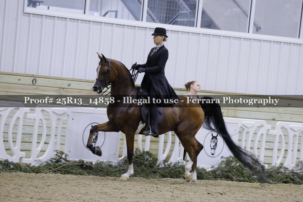 Proof 25R13_14858