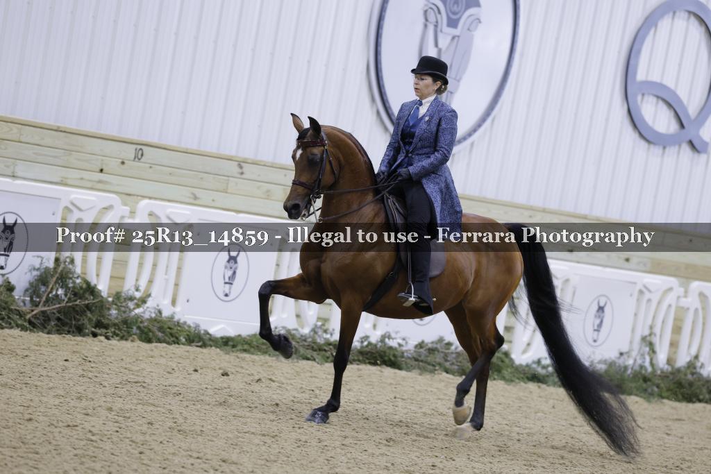 Proof 25R13_14859