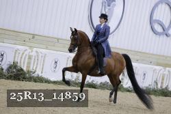25R13_14859 proof