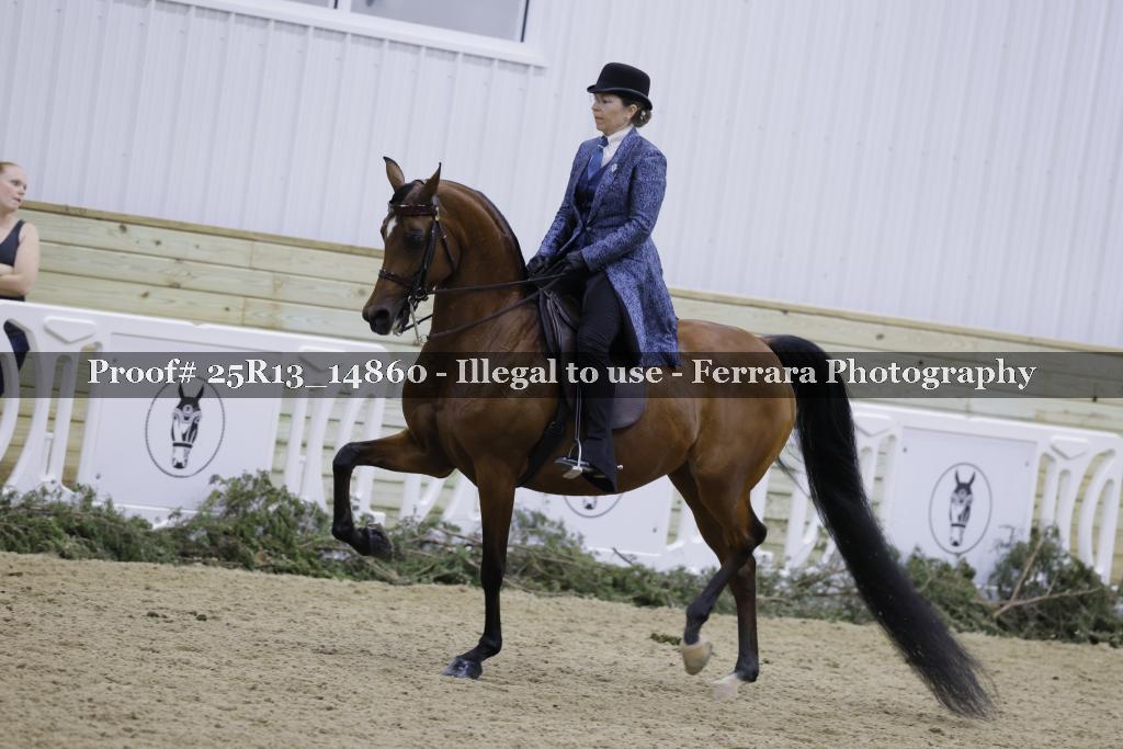 Proof 25R13_14860