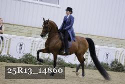 25R13_14860 proof