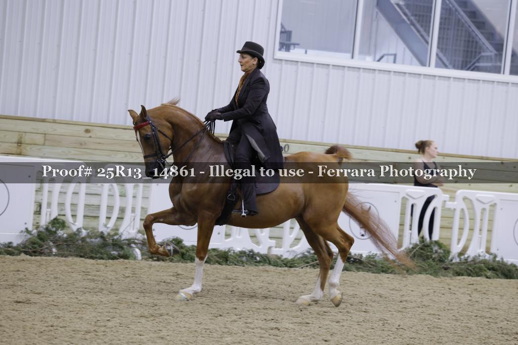 Proof 25R13_14861