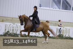 25R13_14861 proof
